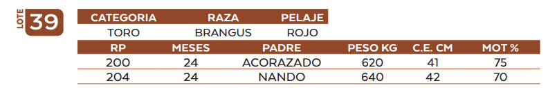 Lote LOTE 39