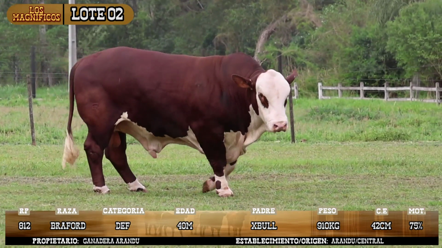 Lote LOTE 2