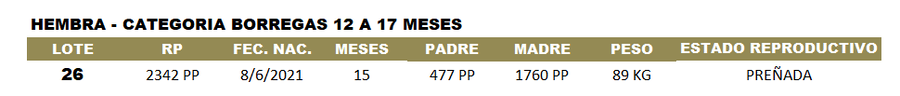 Lote LOTE 26 - CABAÑA ARGENTINA
