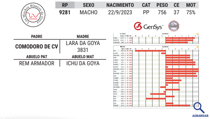 Lote LOTE 32