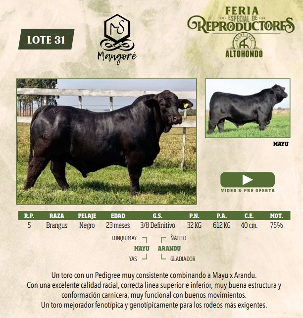 Lote LOTE 31