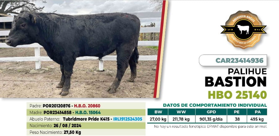 Lote 1 Toro BASTION DIIO 4936