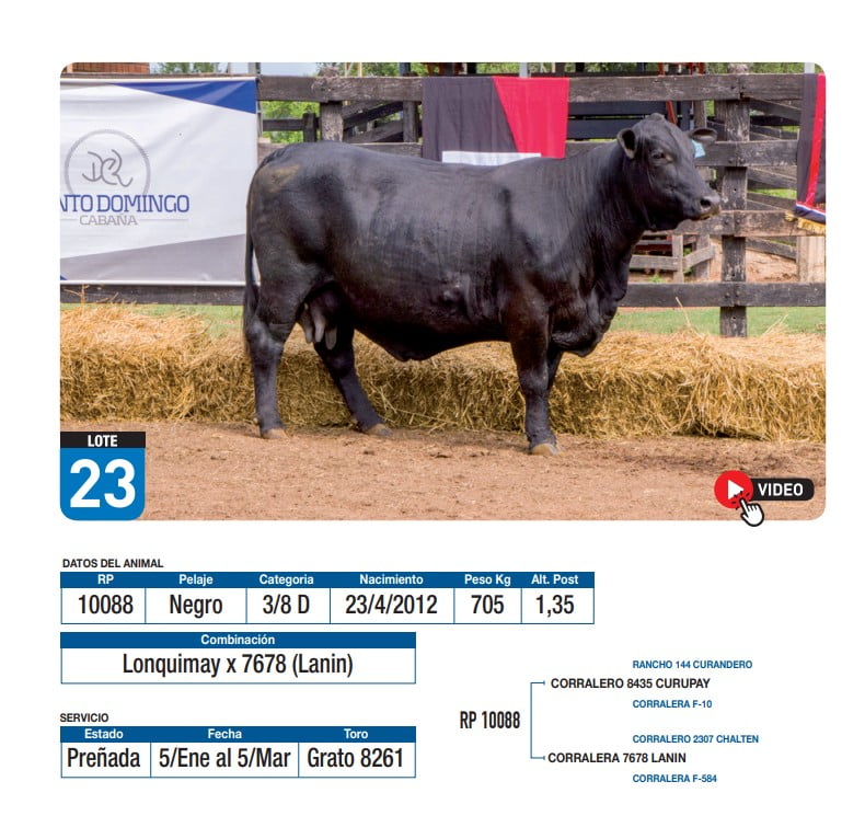 Lote Lonquimay x 7678 (Lanin)