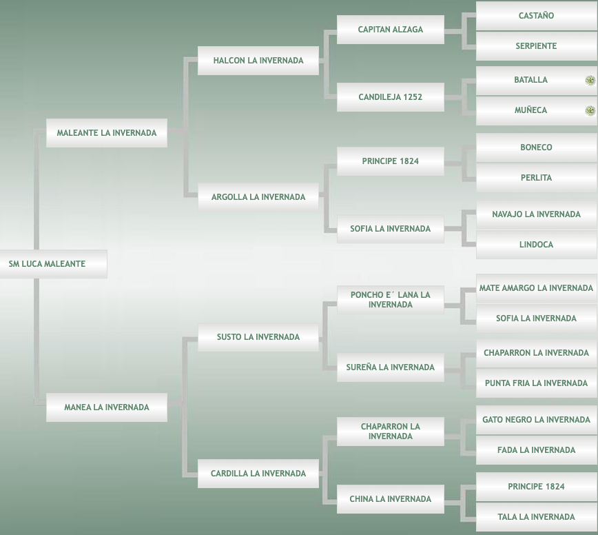 Lote SM Luca Maleante