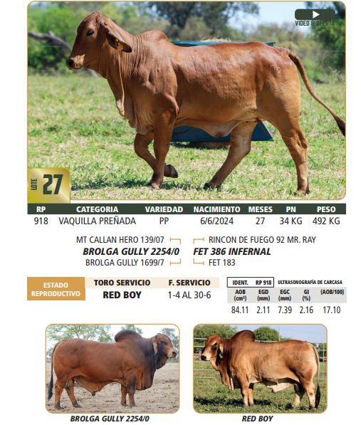 Lote LOTE 27