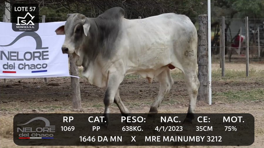 Lote LOTE 57