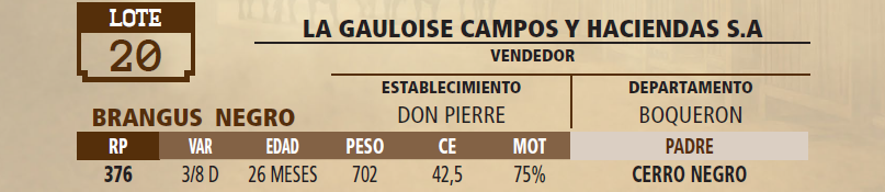 Lote LOTE 20 - VIVO