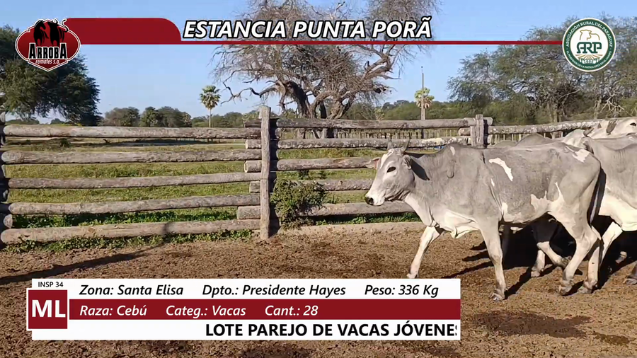 Lote Estancia Punta Porã