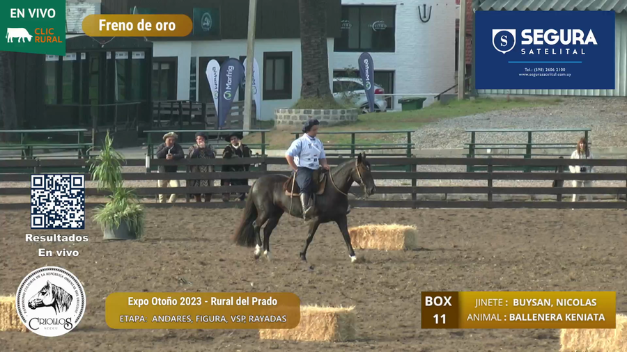 Lote BALLENERA KENIATA - ALONSO, FACUNDO