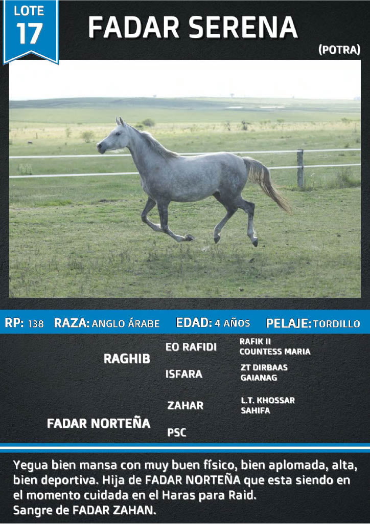 Lote FADAR SERENA