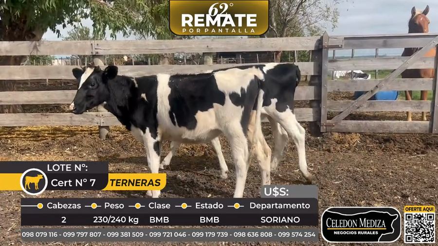Lote 2 Terneras en Ruta 12 a 8 km de Nueva Palmira, Colonia