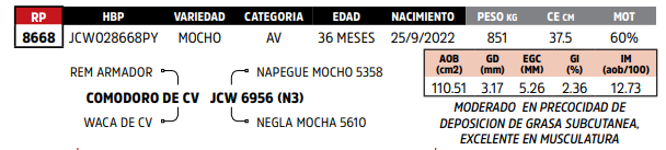 Lote LOTE 62