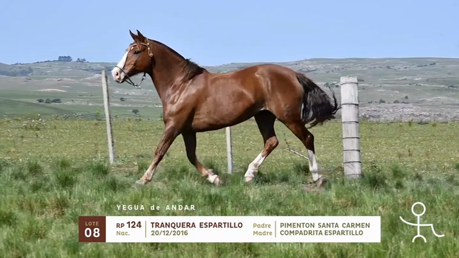 Lote TRANQUERA ESPARTILLO