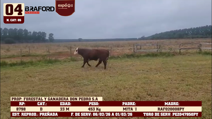 Lote LOTE 4