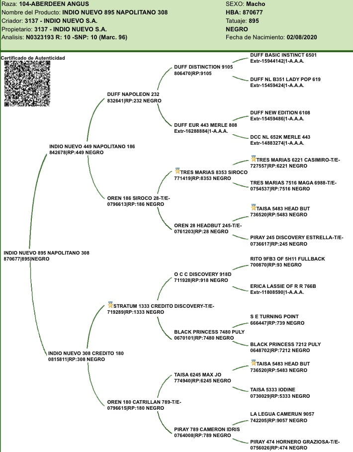 Lote "Toros ""SANTA ROSA"""