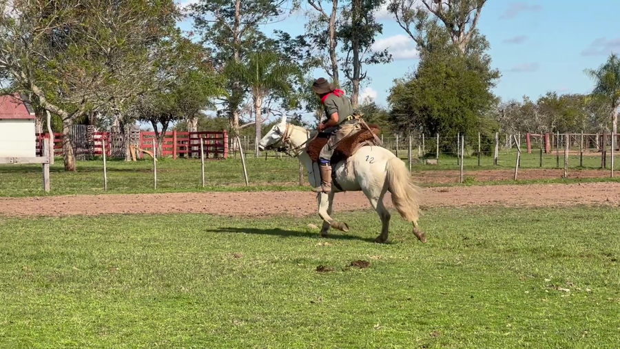 Lote 1 Montados en Corrientes, Curuzú-Cuatiá