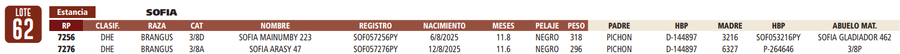 Lote LOTE 62