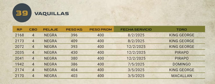 Lote LOTE 39