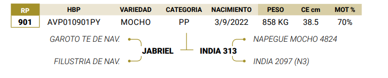 Lote LOTE 7