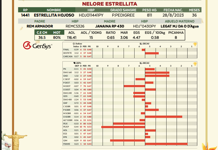 Lote LOTE 7