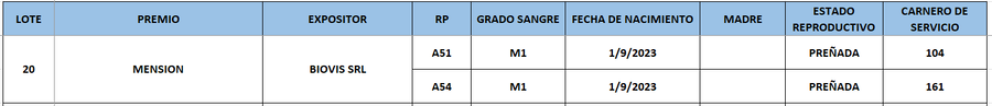 Lote LOTE 20