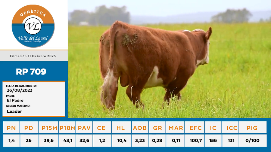 Lote 6 - Valle del Laurel