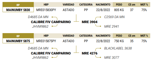 Lote LOTE 69