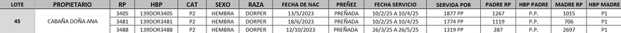 Lote LOTE 45 - DESTACADO
