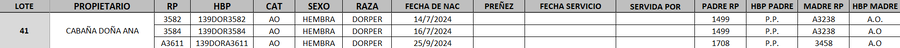 Lote LOTE 41 - DESTACADO