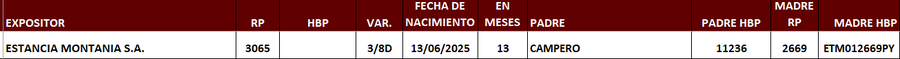 Lote LOTE 29