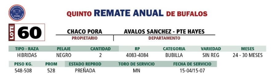 Lote LOTE 60