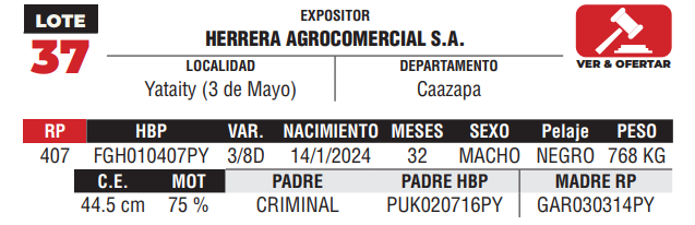 Lote LOTE 37 - DE CAMPO