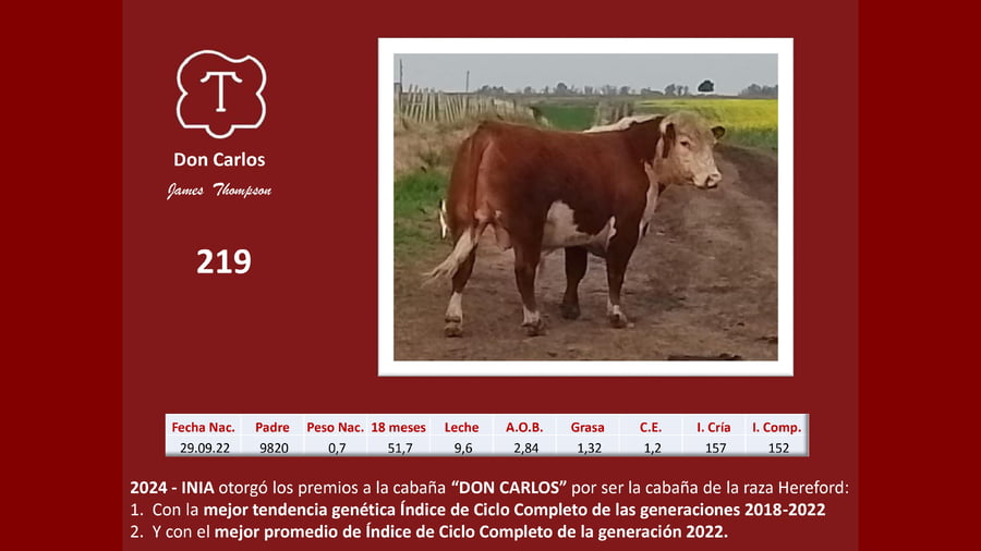 Lote Don Carlos