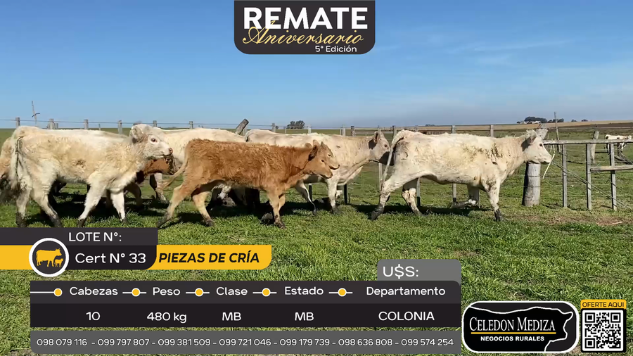Lote 10 Piezas de cría en La Horqueta, Colonia
