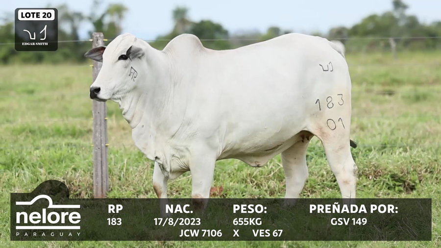 Lote LOTE 20