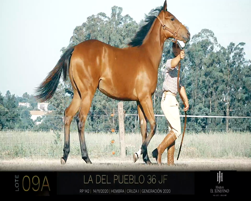 Lote LA DEL PUEBLO 36 JF