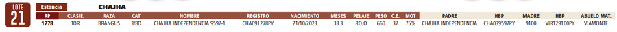 Lote LOTE 21