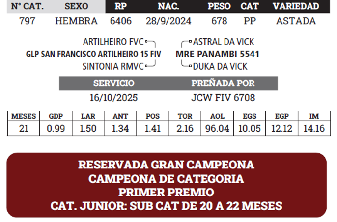 Lote LOTE 11 - BOZAL