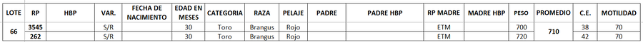 Lote LOTE 66