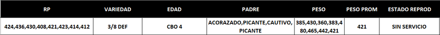 Lote LOTE 52- EN VIVO
