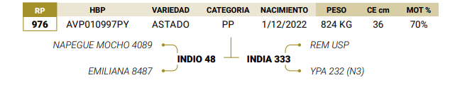 Lote LOTE 74