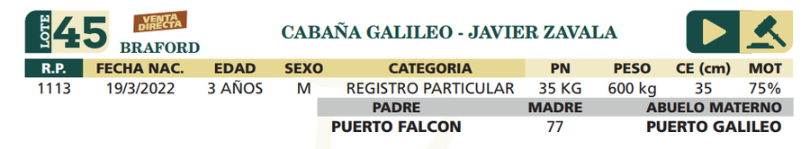 Lote LOTE 45