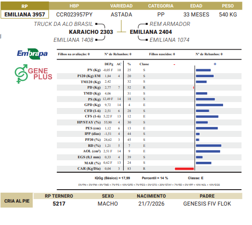 Lote LOTE 50