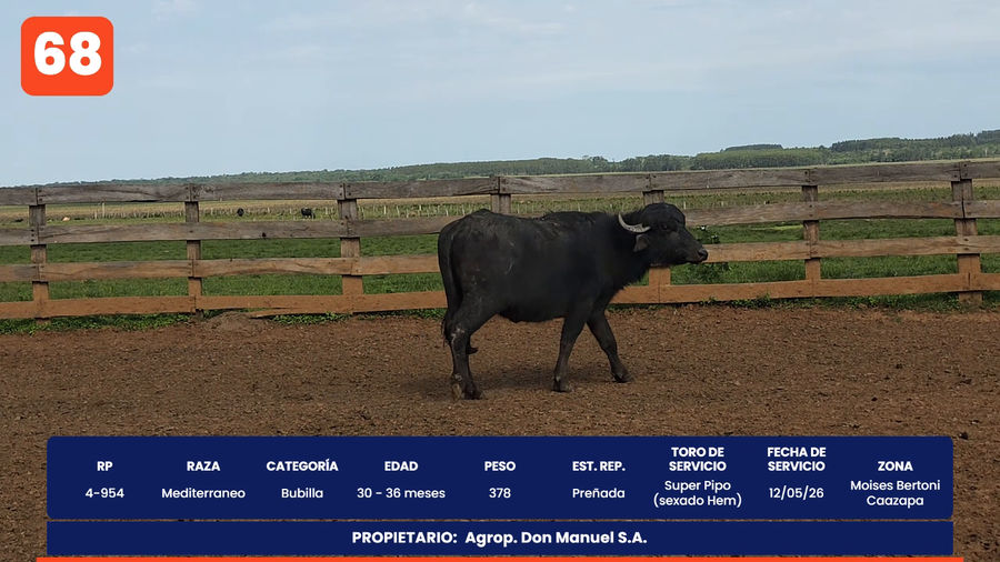 Lote LOTE 68