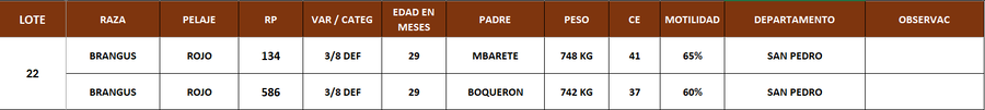 Lote LOTE 22