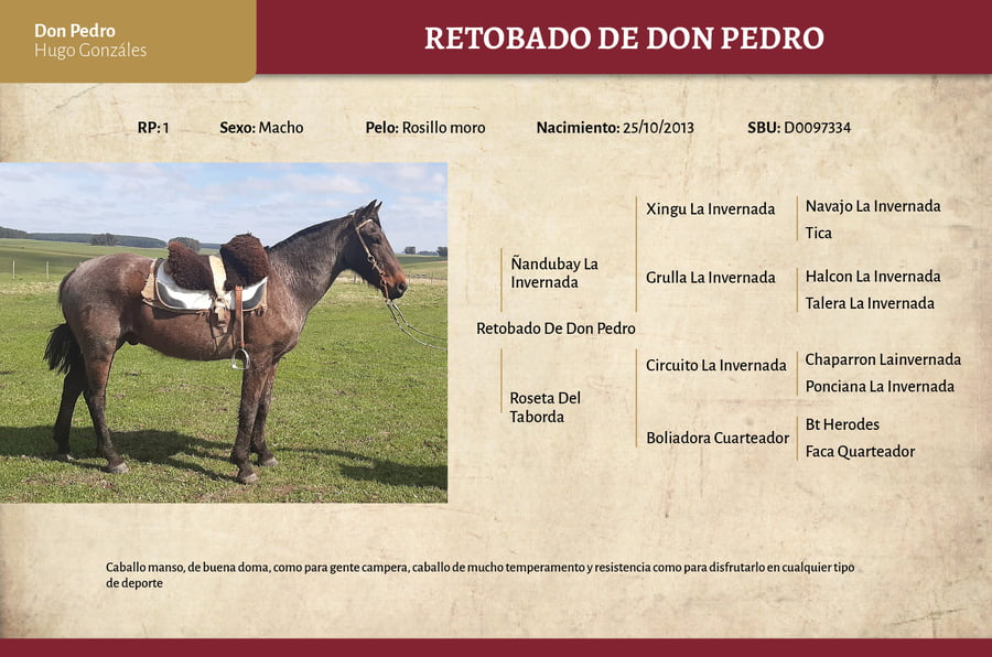 Lote Retobado De Don Pedro (RP 01) - Cabaña Don Pedro