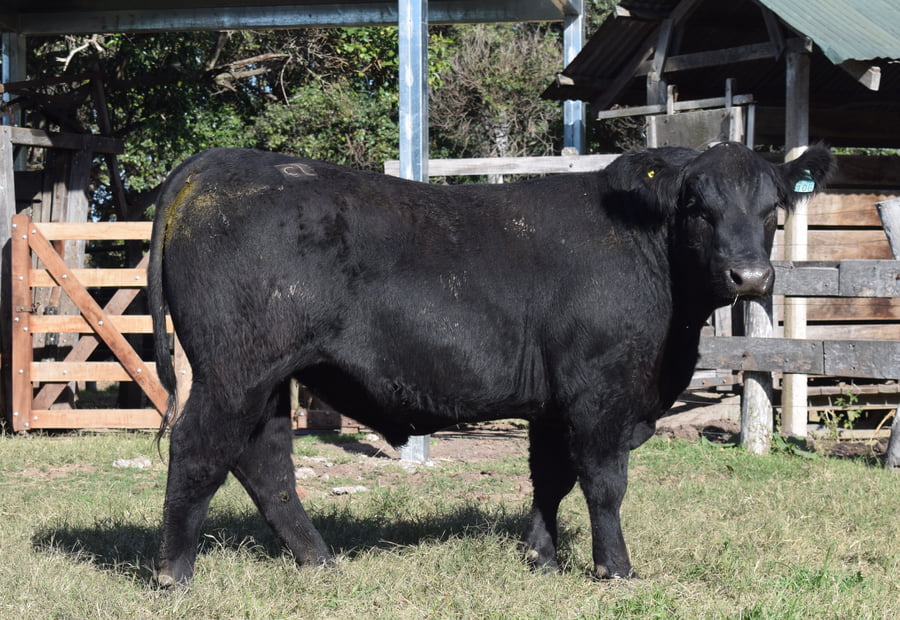 Lote CABAÑA “COEMBOTÁ” de Calderón RP 106