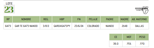Lote LOTE 23