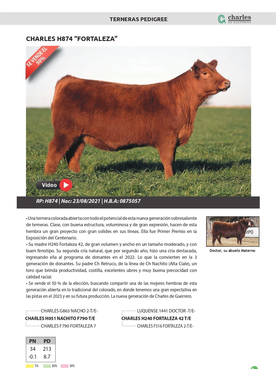 Lote Terneras