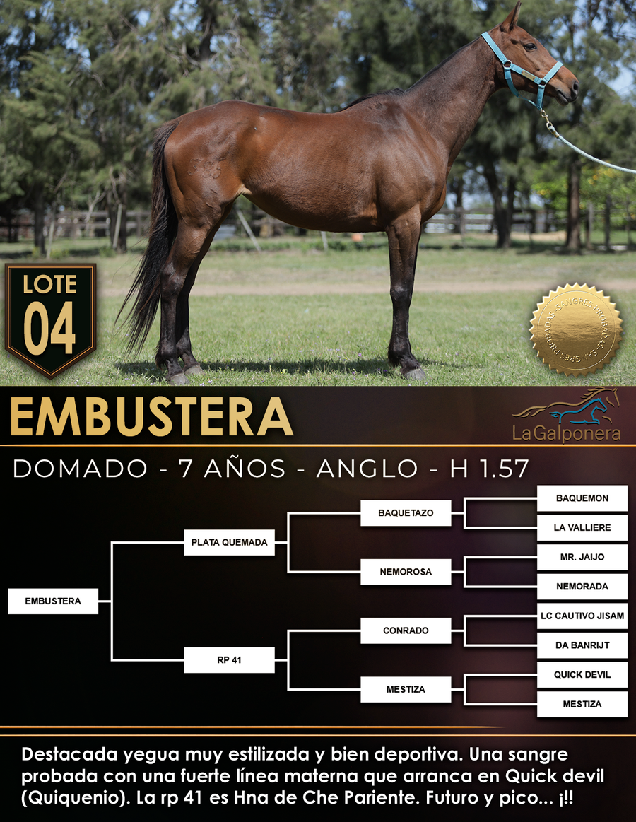 Lote EMBUSTERA